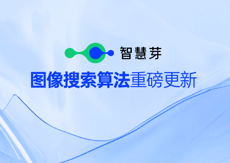 304am永利集团图像搜索算法数据解决方案，一图排查全球专利侵权风险